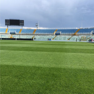 Tappeto Erboso