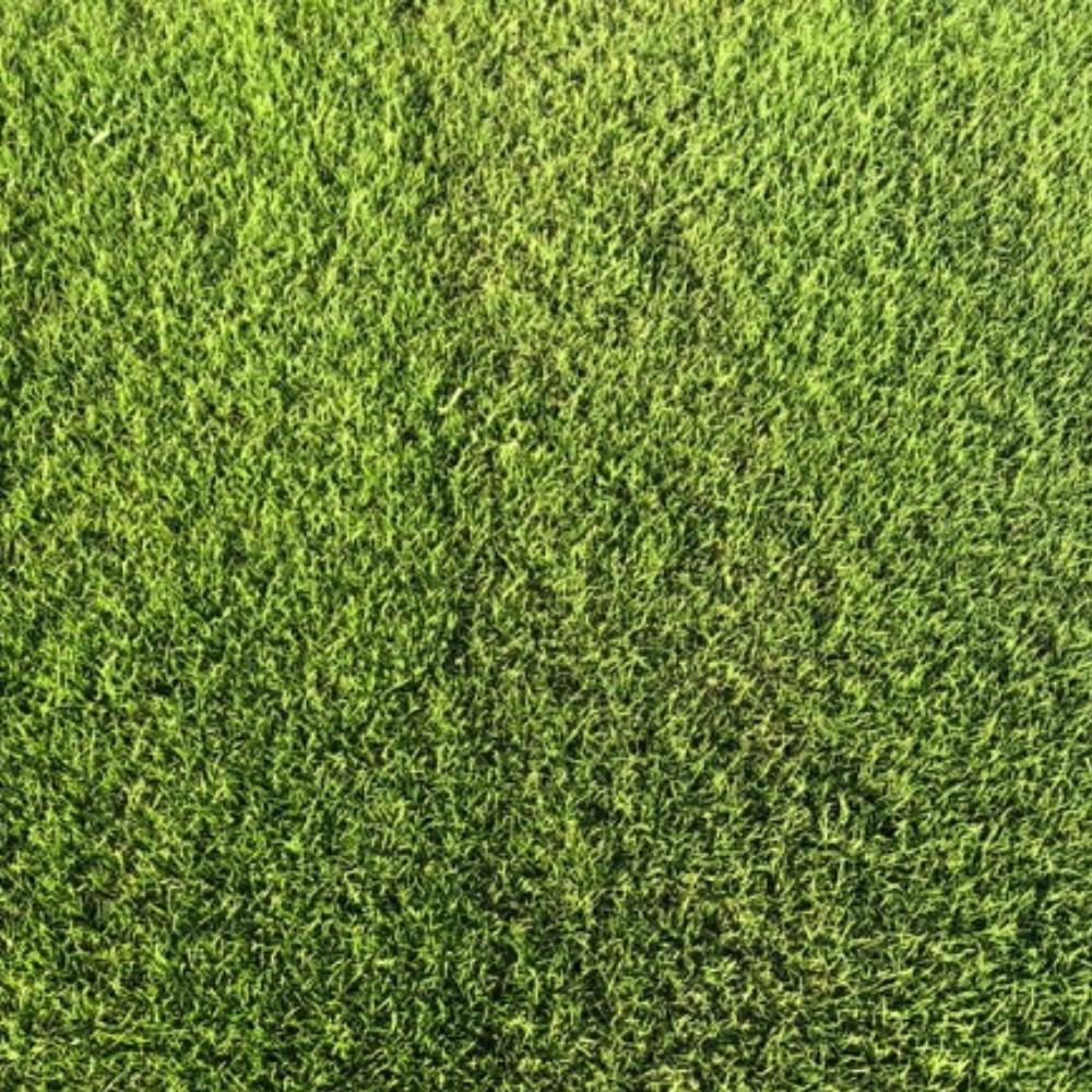 115